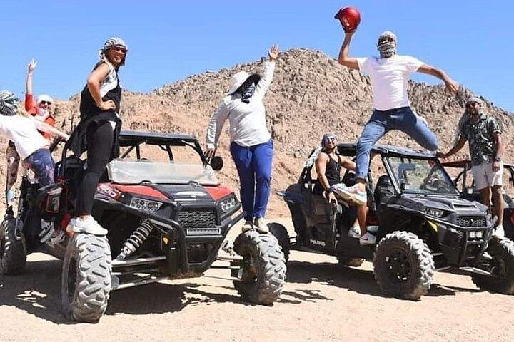 Desierto de Sharm: safari en vehículos todoterreno y experiencia de té en un pueblo beduino