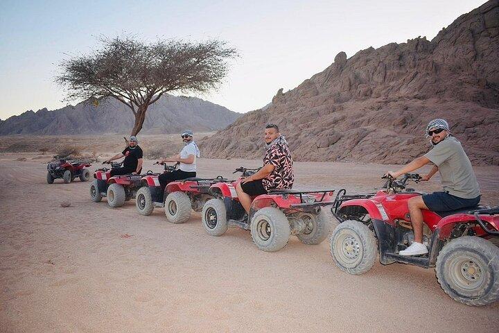 Desierto de Sharm: safari en vehículos todoterreno y experiencia de té en un pueblo beduino