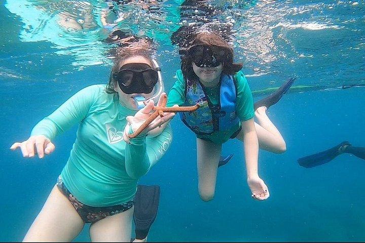 Snorkeling With Sightseeing Of Downtown