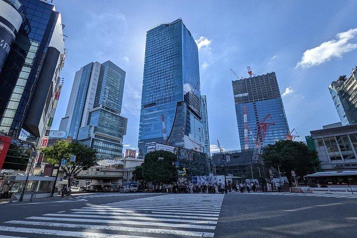 高級車でのオールインクルーシブ・プライベートネオ東京ツアー
