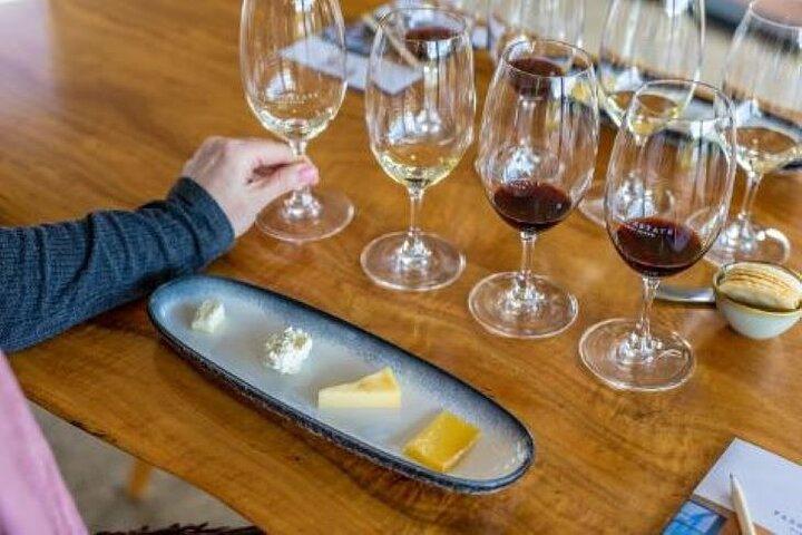 Experiência privada de harmonização de vinhos e queijos clássicos
