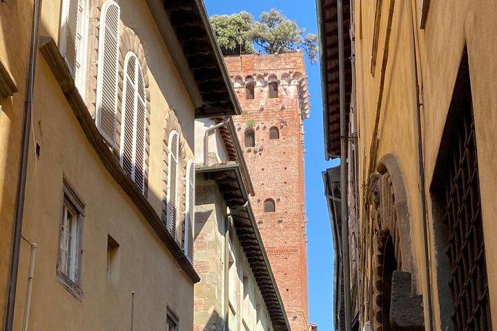 Privater Besuch zweier Weingüter und des Dorfes Monte Carlo in Lucca
