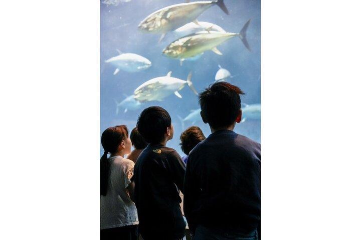 THE TOKYO PASS : Utforska 50 + Museer, trädgårdar och sevärdheter