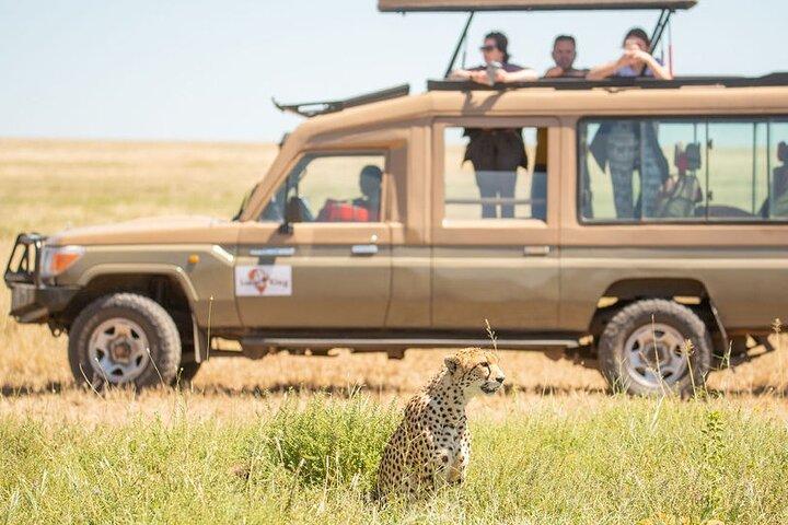 5 dages bedste af Tanzania Luxury Safari Northern Circuit