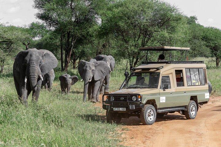 Cráter de mediano alcance de 5 días, Serengeti, Tarangire
