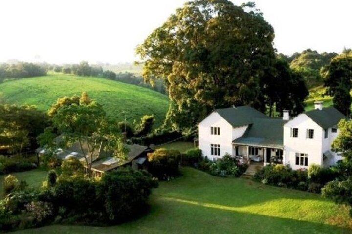 Passeio de um dia à fazenda de chá Kiambethu