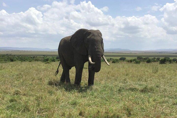 Campo safari di 5 giorni al cratere di Ngorongoro e al lago Manyara
