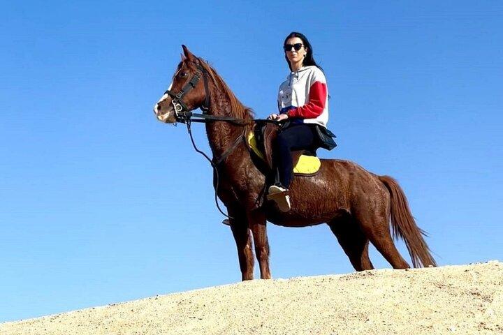 Paseo a caballo de 2 horas, cena beduina y espectáculo egipcio - Sharm Sheikh