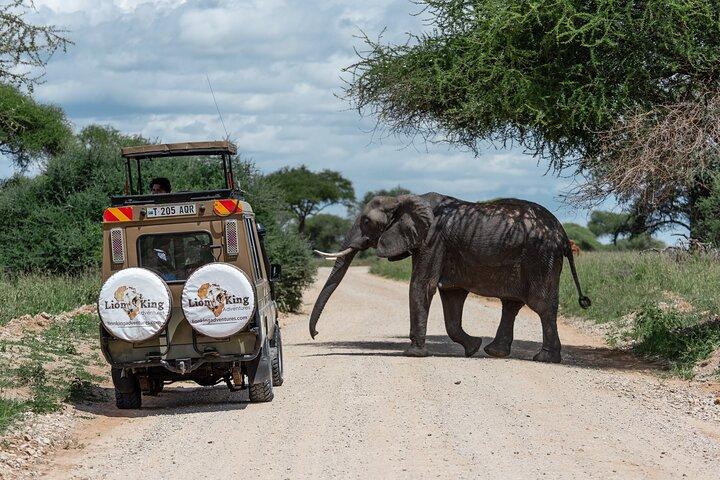 Privat 6-dagars Tarangire Manyara Crater och Serengeti med mellanklasshus
