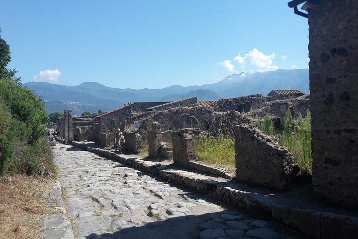 ローマからの日帰り旅行：ポンペイ＆ソレント・アマルフィ海岸を探索