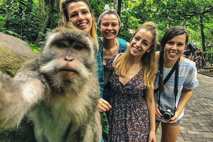Bali: Foresta delle scimmie, terrazza di riso, tempio e cascata isolata