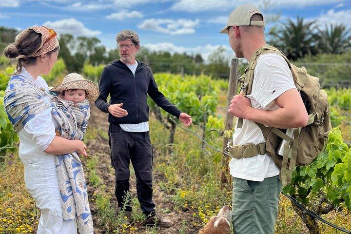 Lisbonne : Visite du vignoble de Carcavelos et dégustation de vins