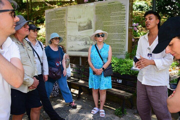 Small Group: Hagia Sophia Tickets Included Best of Istanbul Tour