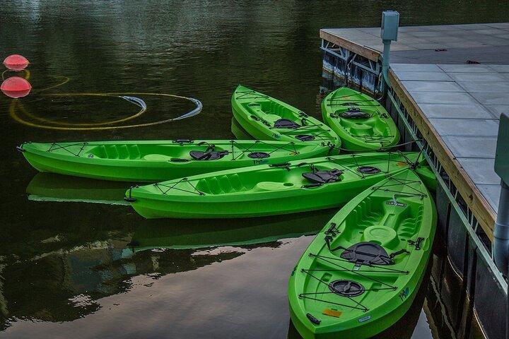 Clases de kayak de 2 horas en el lago Lady Bird