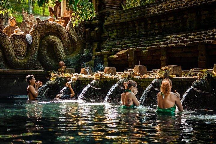 Ubud Private Day Tours - Instagramable Plats och mer