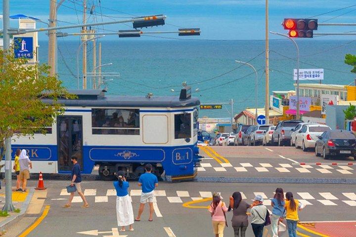 ホテル送迎付き総合小グループ釜山ツアー