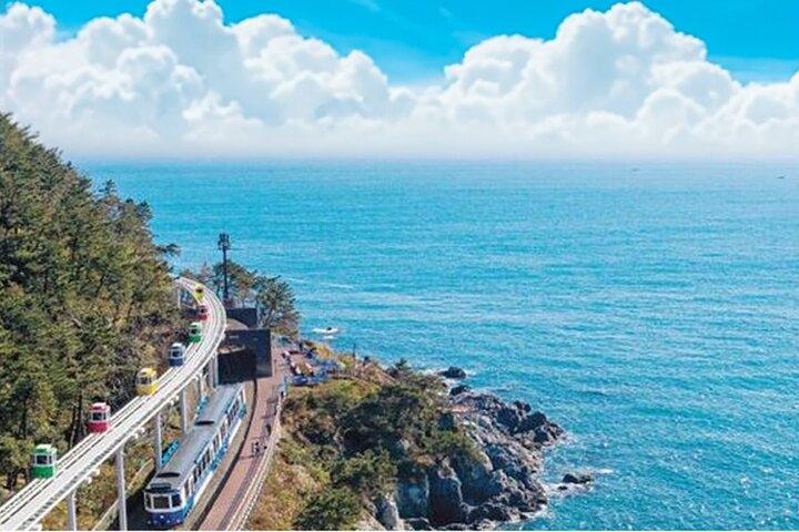 ホテル送迎付き総合小グループ釜山ツアー