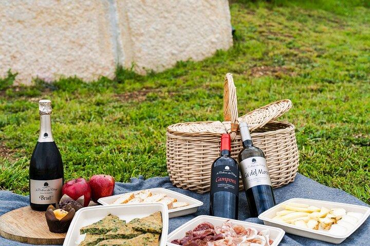 Verona E-Bike&Picknick