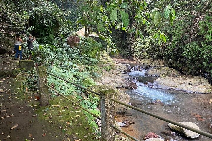 Twin Waterfalls Privat tur på Bali