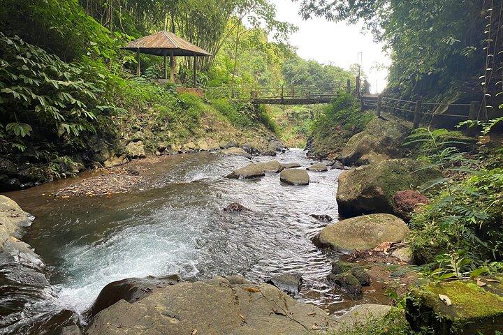 Twin Waterfalls Privat tur på Bali