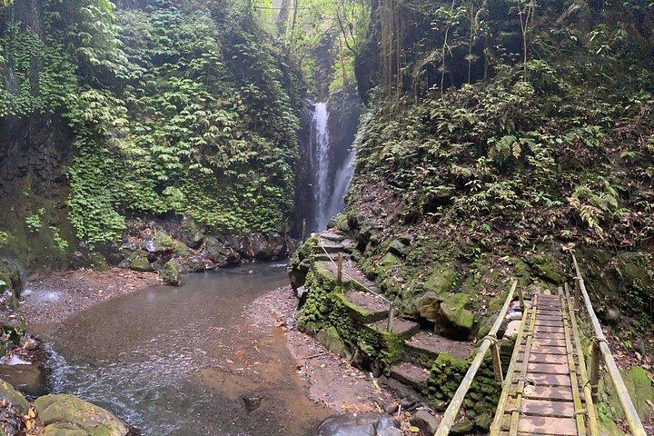 Twin Waterfalls Privat tur på Bali