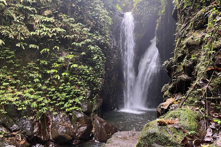 Twin Waterfalls Privat tur på Bali
