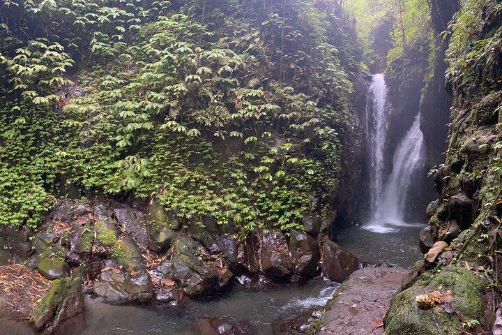 Twin Waterfalls Privat tur på Bali