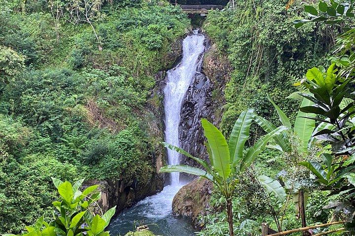 Twin Waterfalls Privat tur på Bali