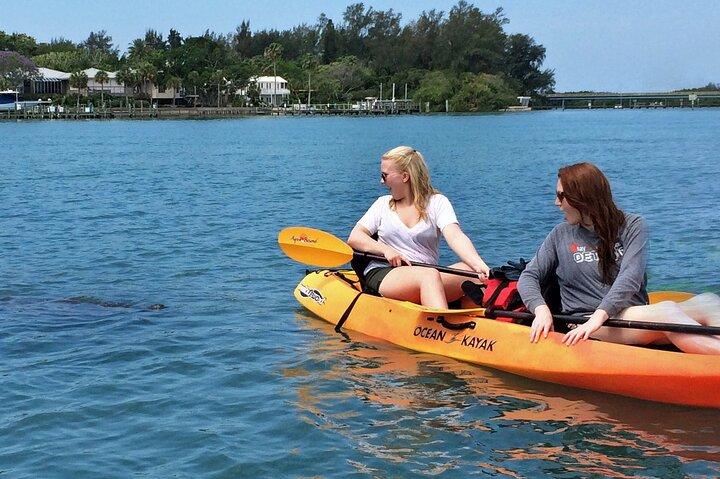Coastal Wildlife Kayak Tour