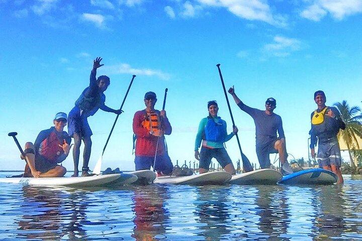 Coastal Wildlife Kayak Tour