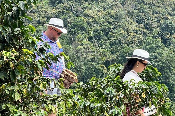 Visite privée avec café et balade à cheval à Pereira