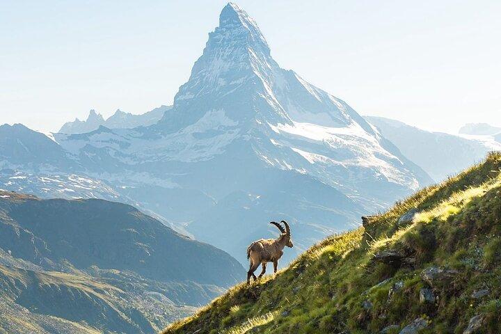 Privétour naar Zermatt vanuit Zürich.