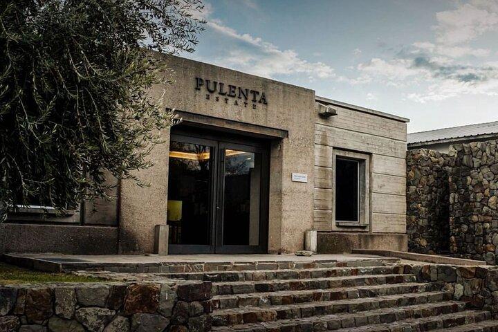 Weinprobe + Mittagessen im Ruca Malen. Privattransfer