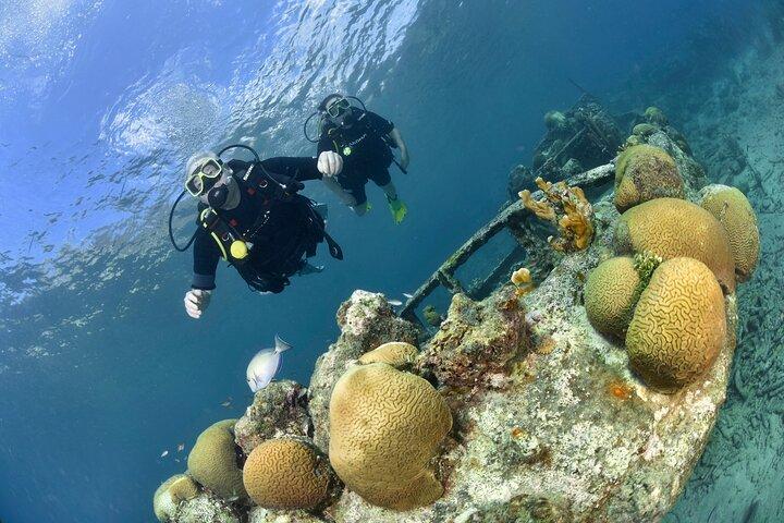 Discover Scuba Dive in Curacao
