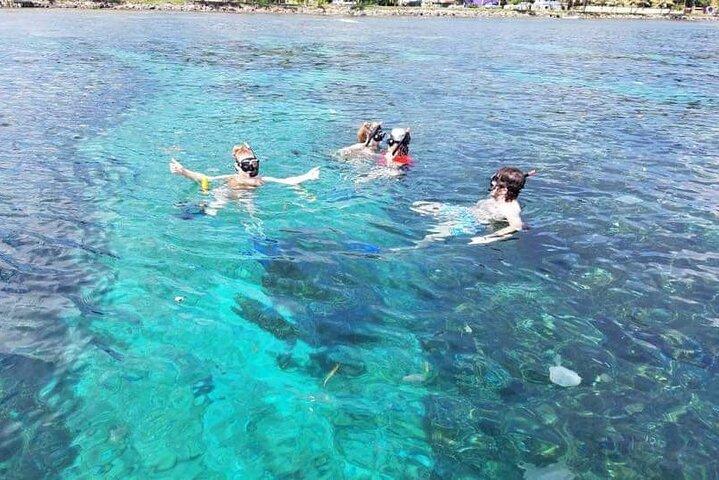 Roatan Monkey, Sloth Eco-Park and Reef Snorkel Combo