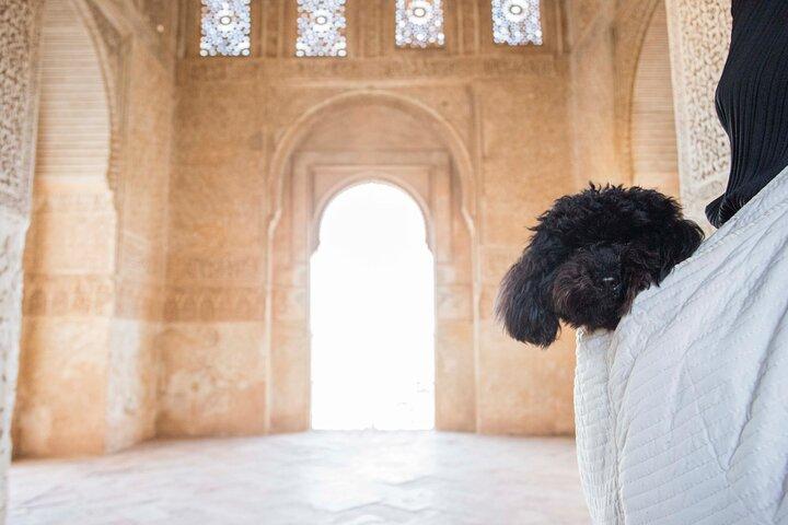 Visite privée de jour ou de nuit de l'Alhambra