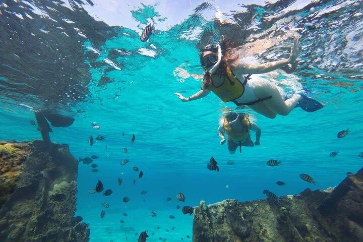 Cancun 5 i 1 Snorkling Tour: MUSA, Shipwreck, Rev och Cenotes