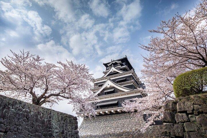 福岡から熊本カステル・阿蘇山・草千里ヶ浜ツアー