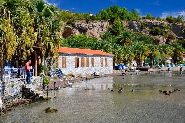 5 Day Tour to Istanbul, Laodicea, Pamukkale, Ephesus, Cappadocia