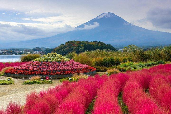 東京発 プライベート富士山＆富士五湖ツアー
