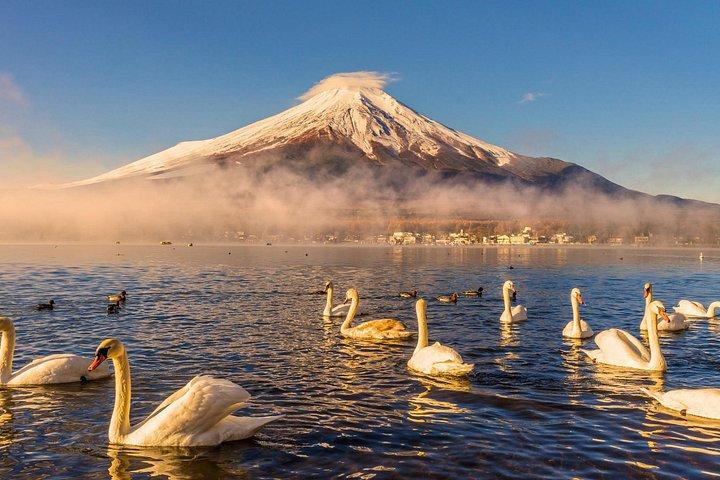 東京発 プライベート富士山＆富士五湖ツアー