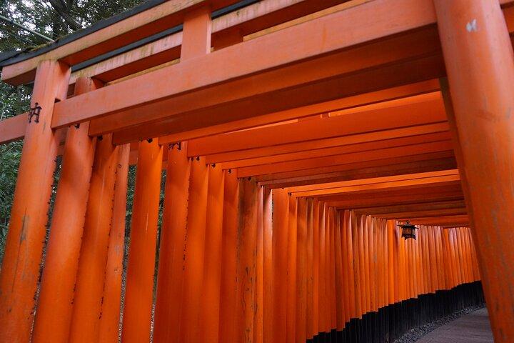 Recorrido a pie por Kioto en el santuario Fushimi Inari y el templo Tofukuji