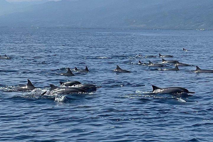 Bali nuota con i delfini e guarda l'alba, cascata di Gitgit