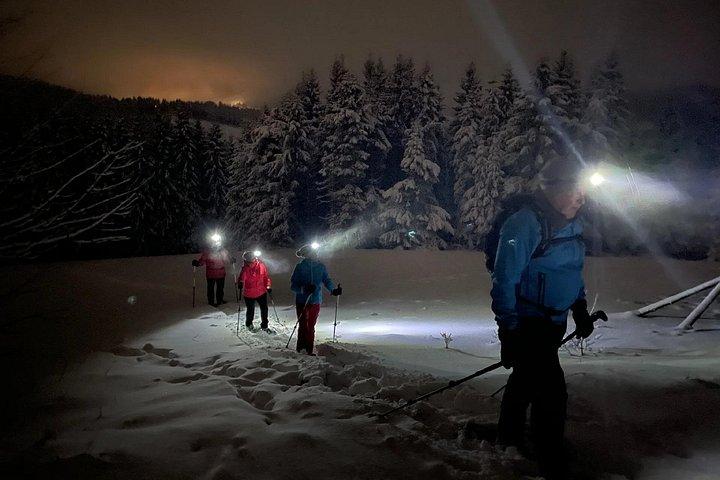 ロヴァニエミでの少人数グループによる夜間スノーシュー体験