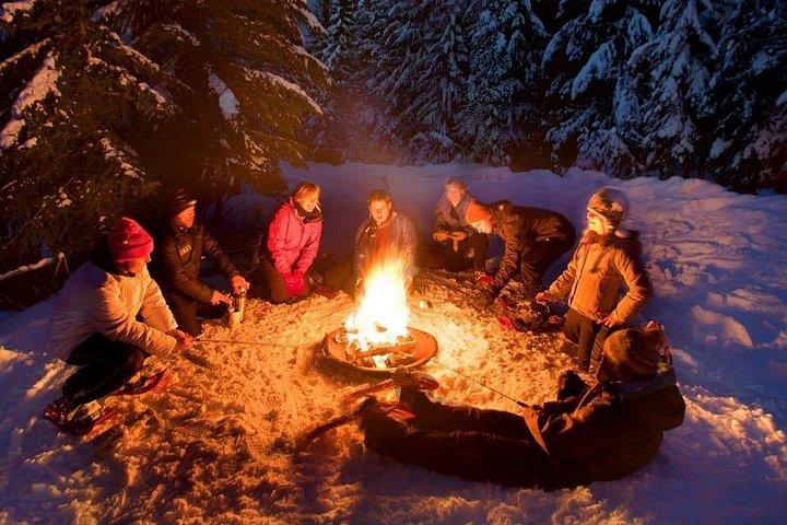 ロヴァニエミでの少人数グループによる夜間スノーシュー体験
