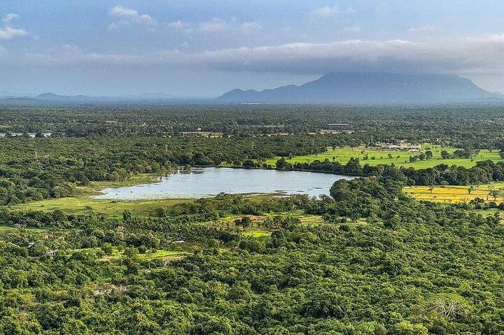 Dagstur til Pidurangala Rock & Dambulla fra Kandy
