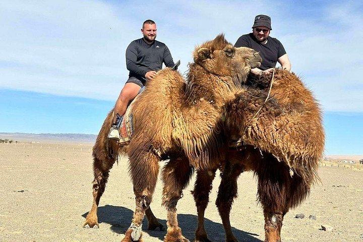 8-dages Great Gobi og Central Mongoliet