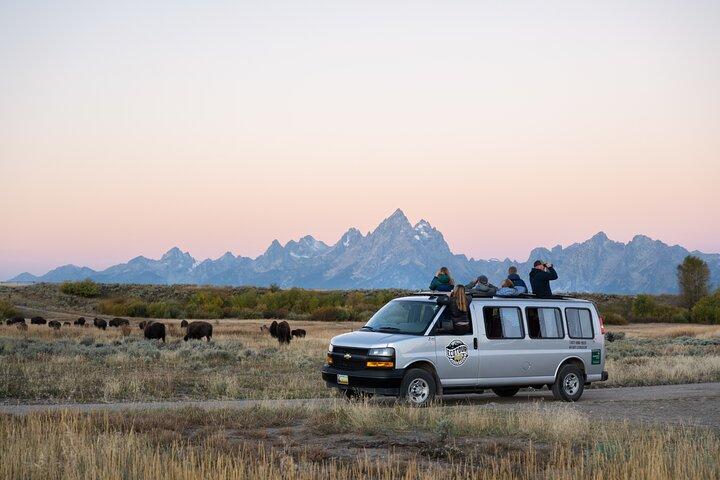 Grand Teton Wildlife Adventure van 4 uur bij zonsondergang