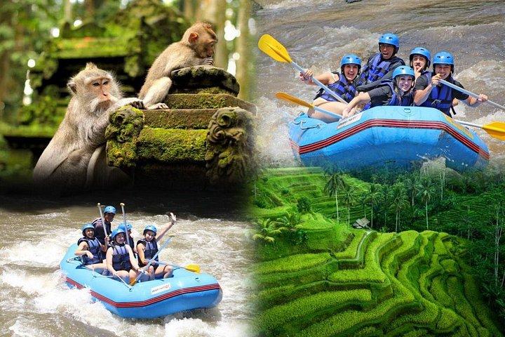 Fuld dag Ubud tur Rafting og ris terrasse med Monkey Forest
