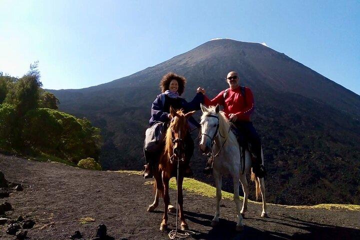 アンティグアグアテマラから自家用車でパカヤ火山への日帰りツアー